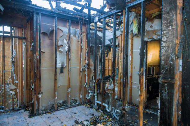 Professional Structural Rebuild technician working in Round Hill, VA